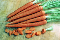 خواص هویج (Carrot)